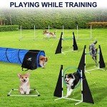 Dog Agility Training Equipment for Endless Fun