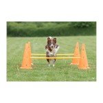 Trixie Adjustable Dog Agility Hurdle Cone Set