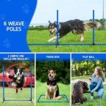 Backyard Dog Agility Course Training Set