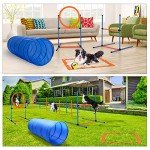 60-Piece Dog Agility Training Starter Kit