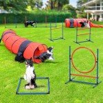 YITAHOME Complete Dog Agility Training Set