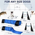 Dog Agility Training Equipment for Endless Fun