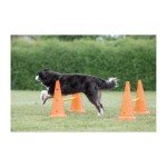 Trixie Adjustable Dog Agility Hurdle Cone Set