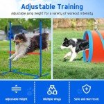 Backyard Dog Agility Course Training Set