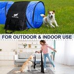 Dog Agility Training Equipment for Endless Fun