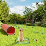Backyard Dog Agility Course Training Set