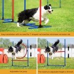 YITAHOME Complete Dog Agility Training Set