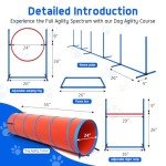 Backyard Dog Agility Course Training Set