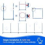 Backyard Dog Agility Course Training Set