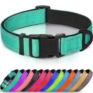 Joytale Adjustable Reflective Dog Collar for Medium Dogs
