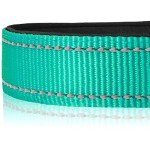 Joytale Adjustable Reflective Dog Collar for Medium Dogs