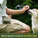 Portable Dog Treat Pouch for Training and Walks