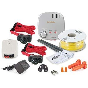 PetSafe Basic In-Ground Dog Fence for Two