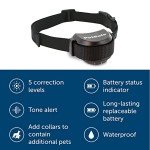 PetSafe Stay & Play Wireless Dog Fence System