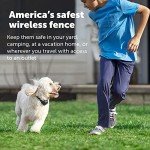 PetSafe Stay & Play Wireless Dog Fence System