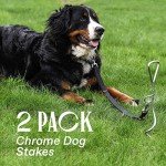 Heavy-Duty 16" Dog Tie-Out Stake for Outdoors