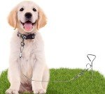 4-Pack 16" Metal Dog Tie-Out Spiral Stakes