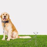 4-Pack 16" Metal Dog Tie-Out Spiral Stakes