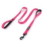 Double Handle 6ft Dog Leash for Training