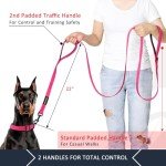 Double Handle 6ft Dog Leash for Training