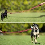 Double Handle 6ft Dog Leash for Training
