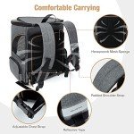 Expandable Pet Carrier Backpack for Medium Dogs