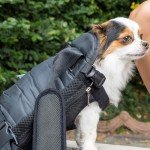 Adjustable Dog Carrier Backpack for Hiking & Travel