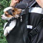 Adjustable Dog Carrier Backpack for Hiking & Travel