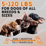 Ultrasonic Dog Bark Deterrent Device - Rechargeable