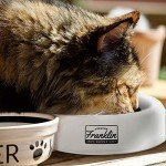 Portable Spill-Proof Pet Bowl for Travel