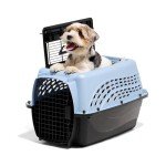 Petmate 24" Dog Crate & Cat Carrier – Blue