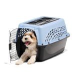 Petmate 24" Dog Crate & Cat Carrier – Blue
