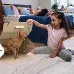 Cardboard Pet Carrier - 12 Pack