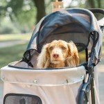 Carlson Pet Stroller with 360° Swivel Wheels