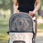 Carlson Pet Stroller with 360° Swivel Wheels