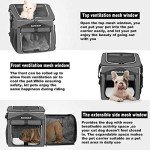 Expandable Dog Bike Basket Carrier - Easy Travel