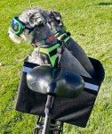 Bushwhacker Portland Dog Carrier Bike Basket
