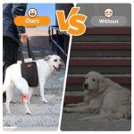 Adjustable Dog Lift Harness for Large Dogs