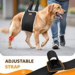 Adjustable Dog Lift Harness for Large Dogs