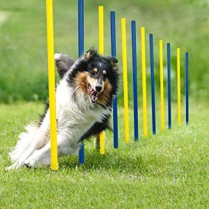 Dog Agility Training Kit - 12 Weave Poles
