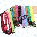 12 Pack Adjustable Nylon Dog Collars - Mixed Colors