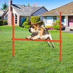 Adjustable Dog Agility Hurdle Training Kit