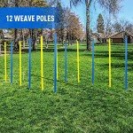 Dog Agility Training Kit - 12 Weave Poles