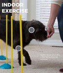 Outward Hound Indoor Dog Agility Training Kit