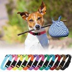 12 Pack Adjustable Nylon Dog Collars - Mixed Colors