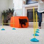 Outward Hound Indoor Dog Agility Training Kit