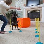 Outward Hound Indoor Dog Agility Training Kit