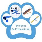 Jopavo Wooden Dog Agility Seesaw for Training