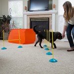 Outward Hound Indoor Dog Agility Training Kit