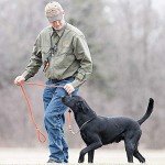 SportDOG Roy Gonia Hunting Dog Training Whistle